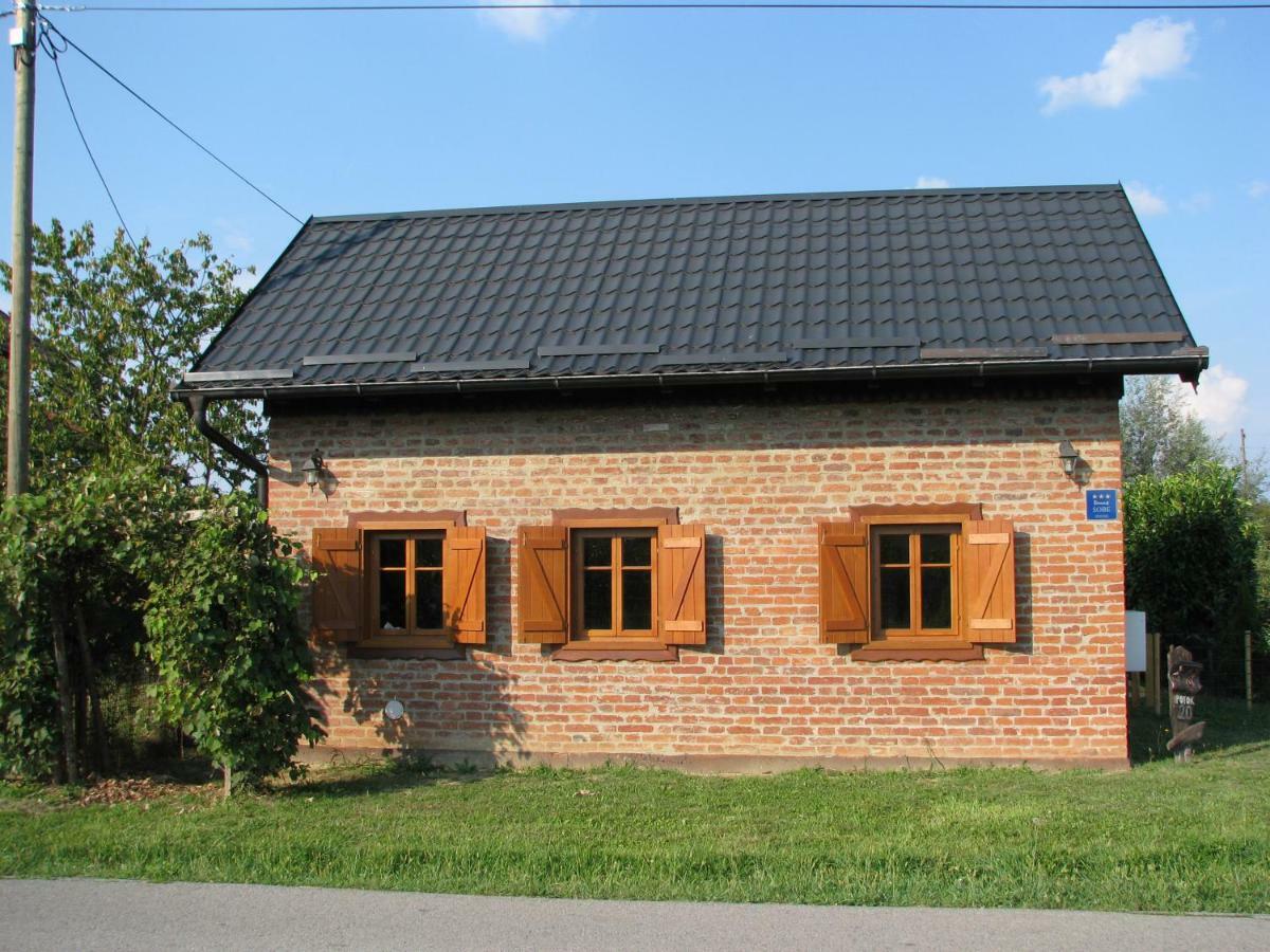 Cottage Plavi Lav Potok Екстер'єр фото